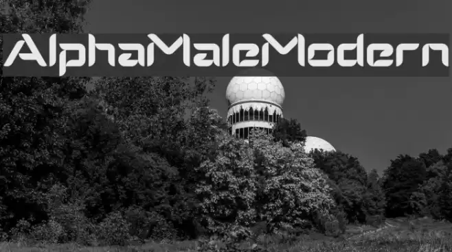 AlphaMaleModern Font examples