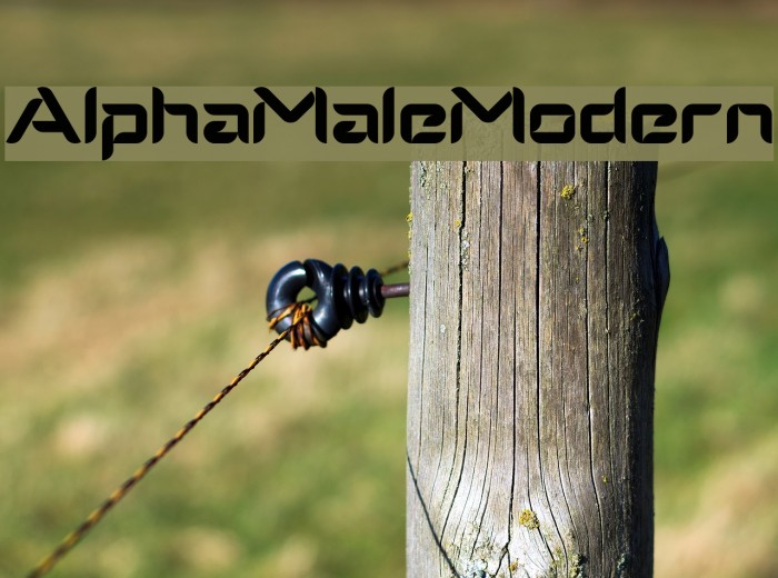 AlphaMaleModern Font examples