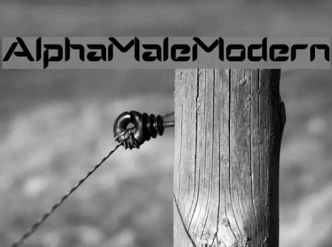AlphaMaleModern Font examples