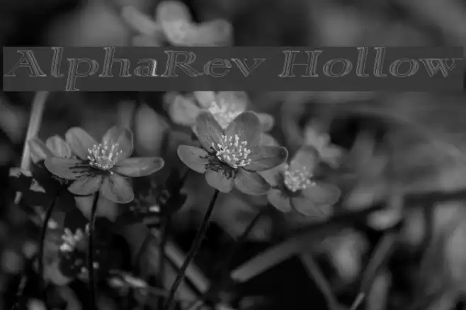 AlphaRev Hollow फ़ॉन्ट examples
