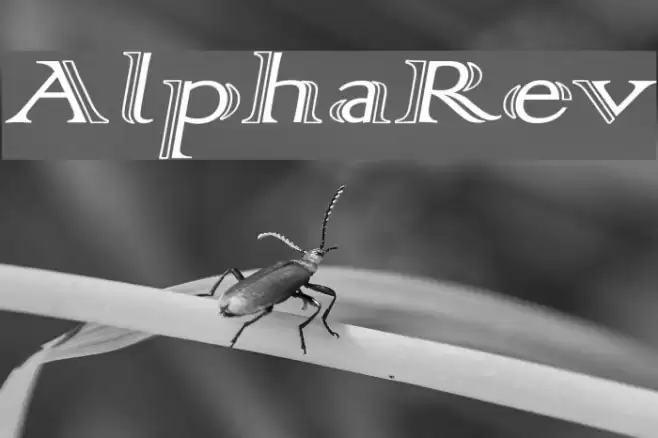 AlphaRev フォント examples