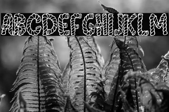 AlphaRope Font - Free Download (TTF/OTF) | FFonts.net