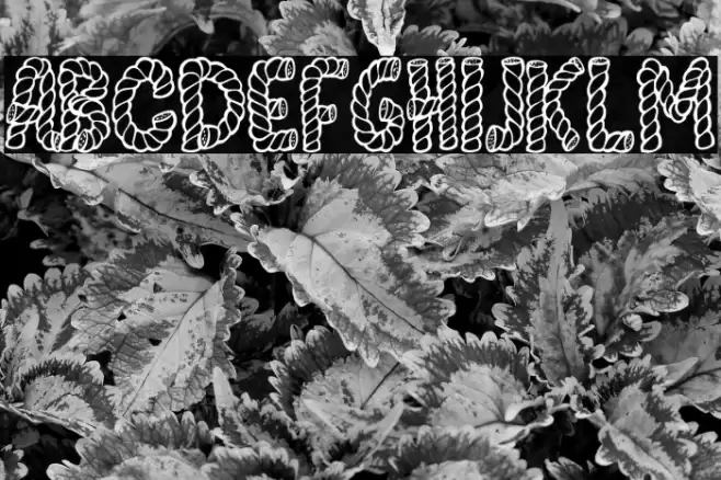 AlphaRope Font - Free Download (TTF/OTF) | FFonts.net