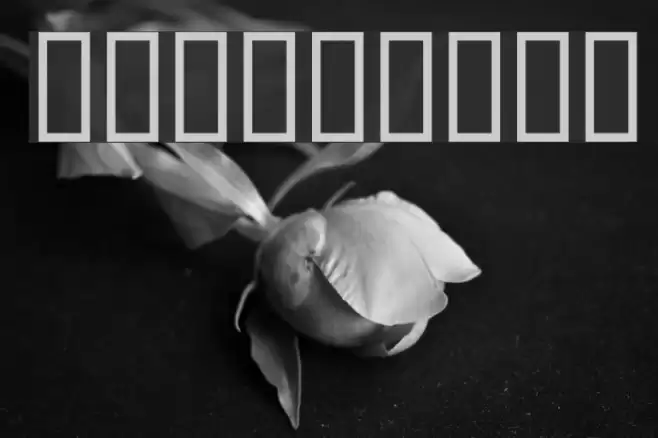 AlphaRope Font examples