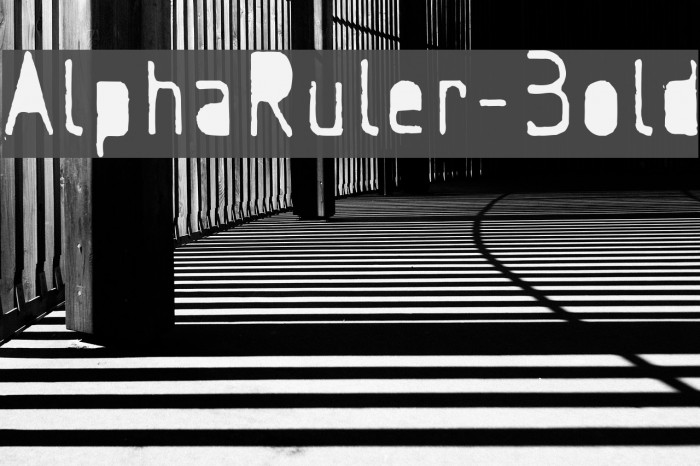 AlphaRuler-Bold Font examples