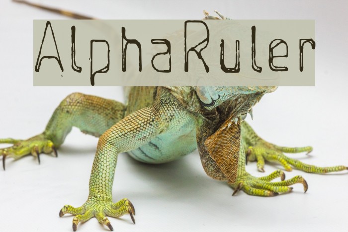 AlphaRuler Font examples