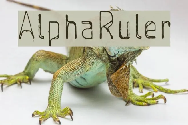 AlphaRuler Example 1