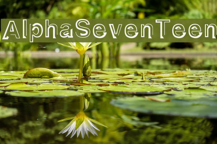 AlphaSevenTeen Fonte examples