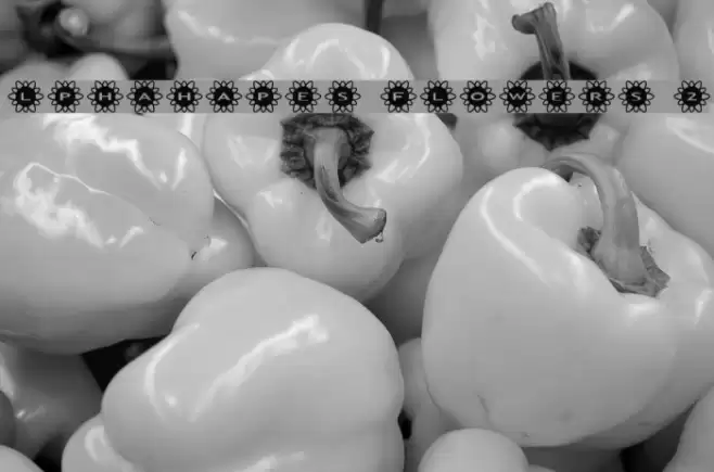 AlphaShapes flowers 2 Font examples