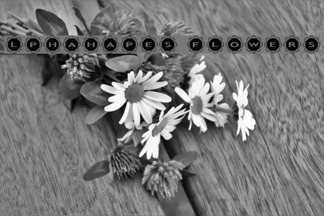 AlphaShapes flowers Fonte examples