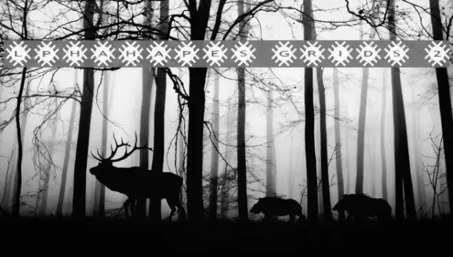 AlphaShapes grids 2 Font examples