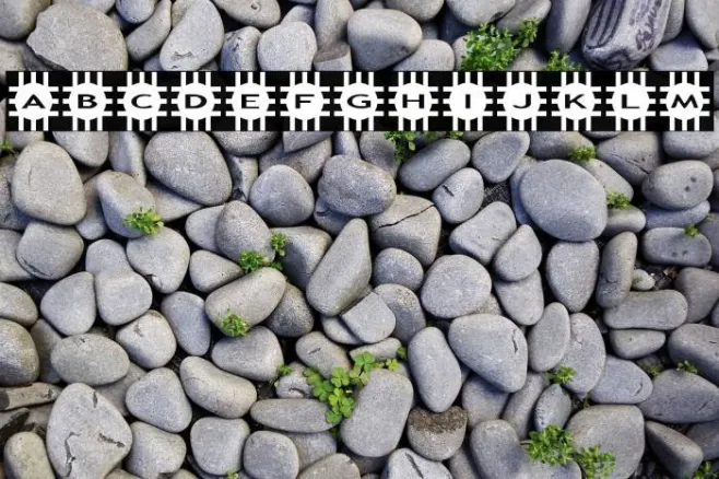 AlphaShapes grids Example 1