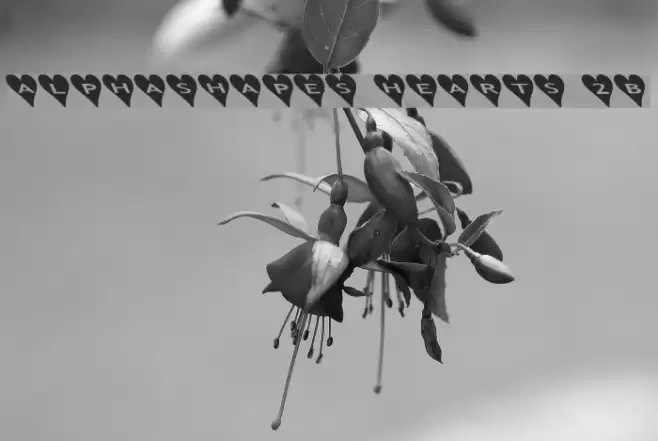 AlphaShapes hearts 2b Fonte examples