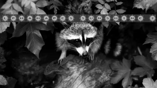 AlphaShapes sunshine 2 Font examples