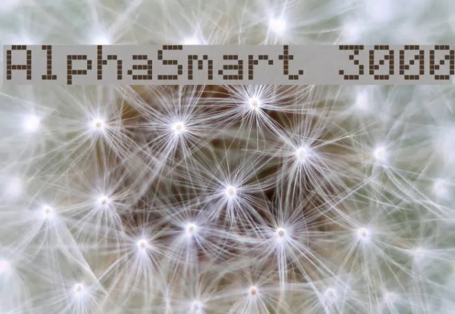 AlphaSmart 3000 Example 1
