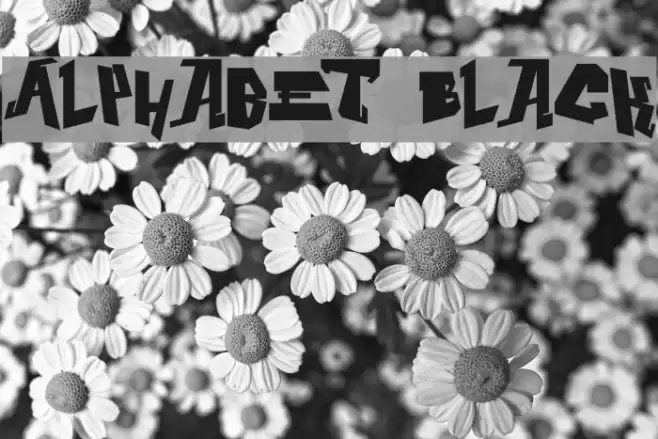 Alphabet Black Font examples