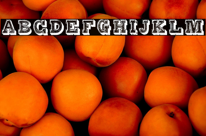 Alphabet Fantasie Regular Example 3