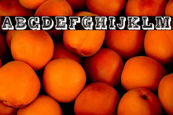 Alphabet Fantasie Regular Example 3