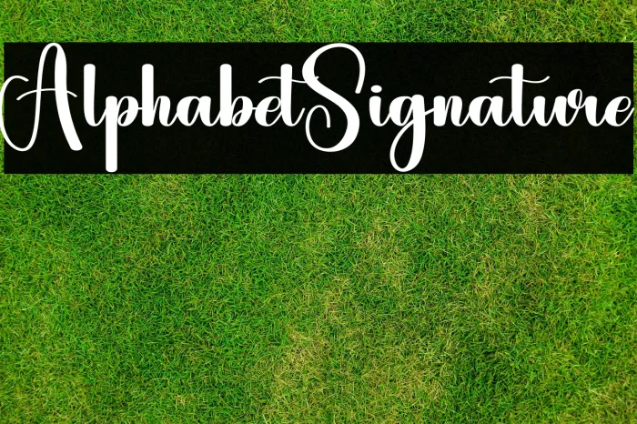 Alphabet Signature Example 2