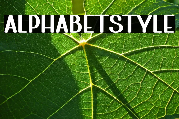 Alphabet Style Example 1