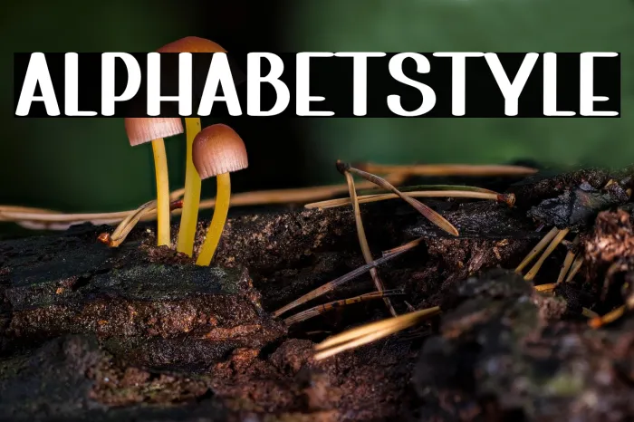 Alphabet Style Example 3