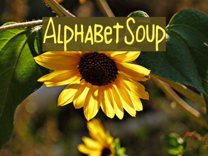 AlphabetSoup Font examples