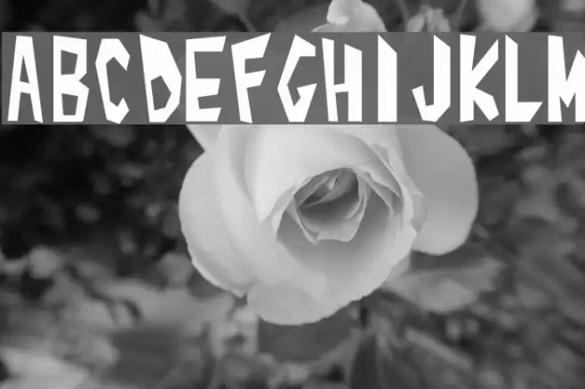 Alphabet_01 Font examples