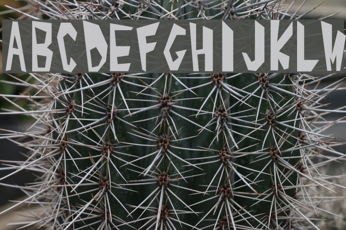 Alphabet_1 Font examples