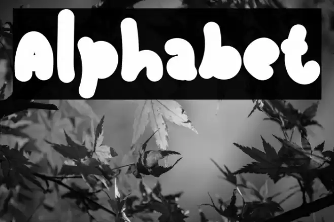 Alphabet Font examples