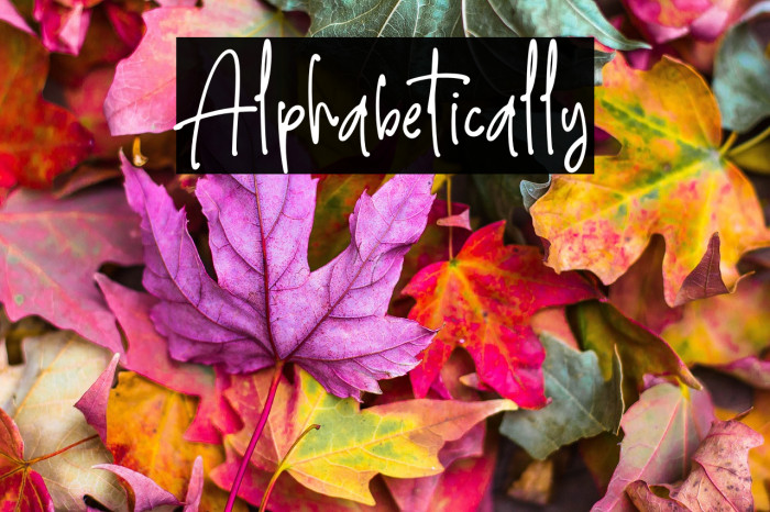 Alphabetically Example 2