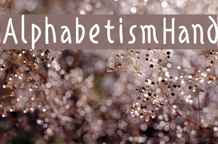AlphabetismHand Font examples