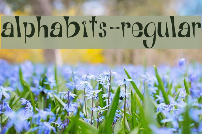 Alphabits-Regular Font examples
