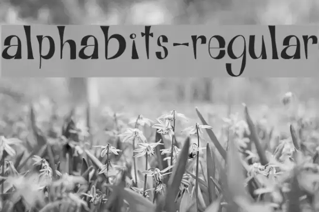 Alphabits-Regular Fuentes examples