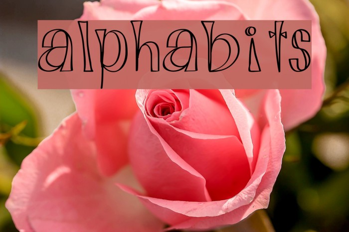 Alphabits Font examples