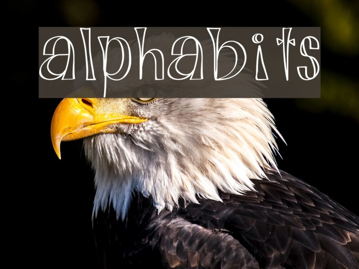 Alphabits Font examples