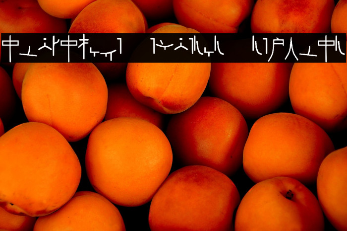 Alphacode Emperor Regular Example 2