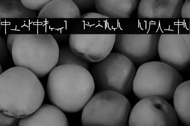 Alphacode Emperor Regular Caratteri examples
