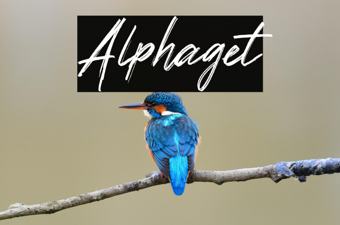 Alphaget Example 1