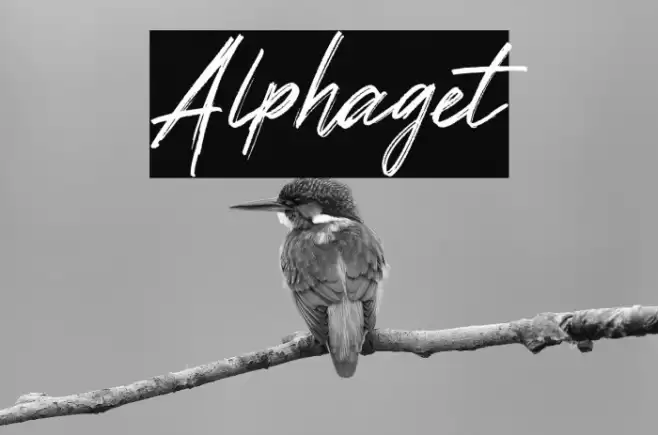 Alphaget خط examples