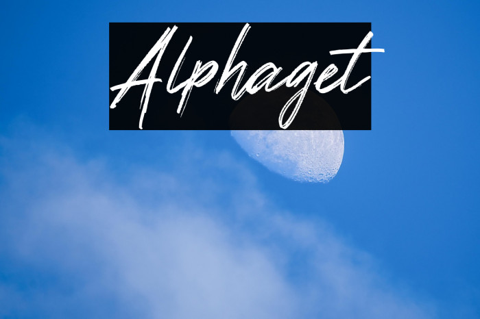Alphaget Example 2
