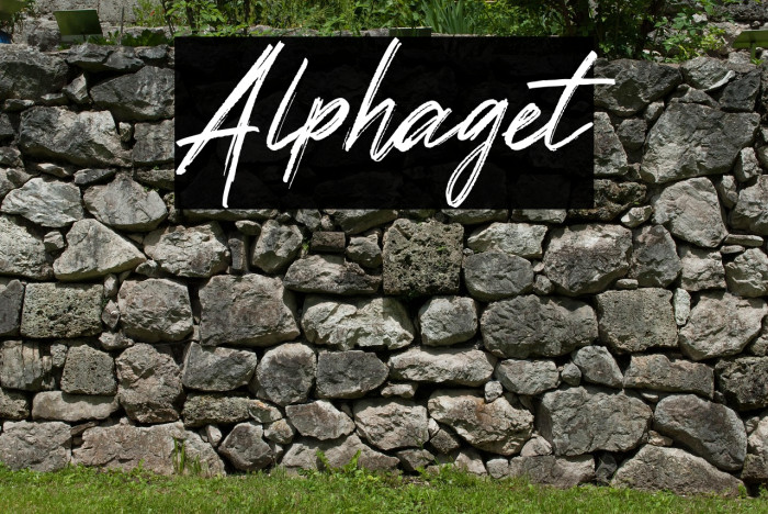 Alphaget Example 3