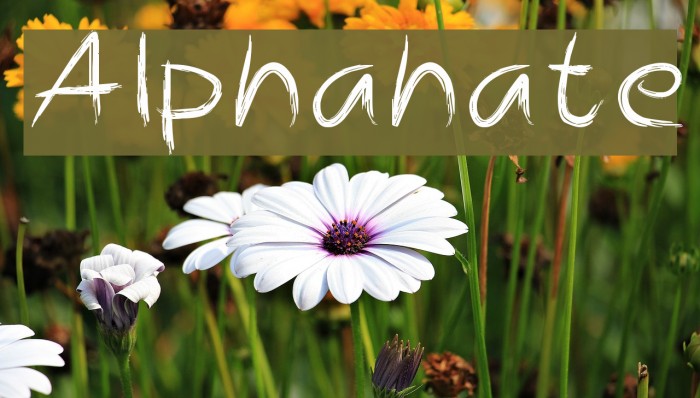 Alphahate Fuentes examples