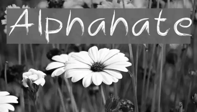 Alphahate Font examples