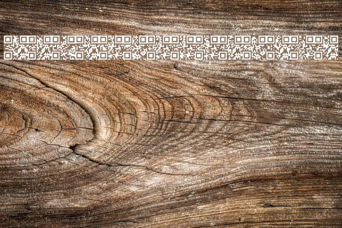 AlphanumericQR Font examples