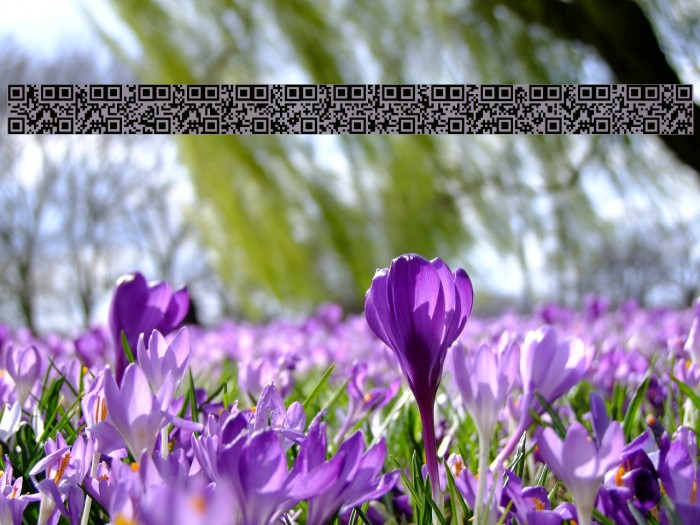 AlphanumericQR Font examples