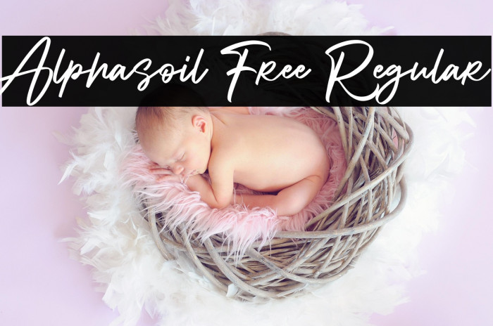 Alphasoil Free Regular Example 1