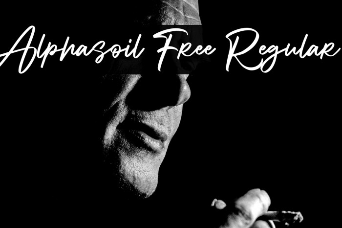 Alphasoil Free Regular Example 3