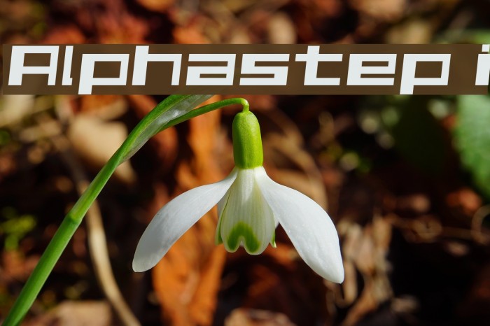 Alphastep i Font examples