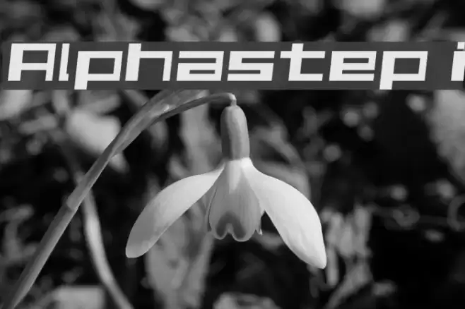 Alphastep i フォント examples
