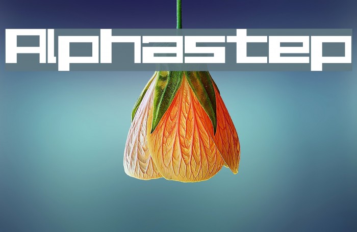Alphastep フォント examples